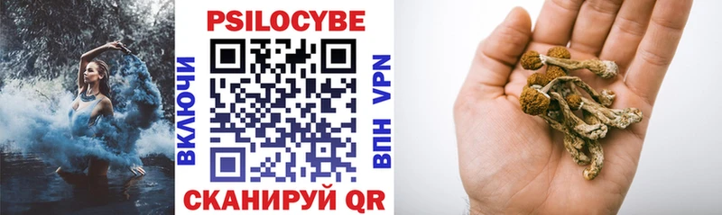 хочу   Перевоз  Псилоцибиновые грибы ЛСД 