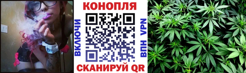 дарнет шоп  Перевоз  Шишки марихуана конопля 